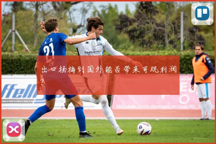出口杨梅到国外能否带来可观利润？