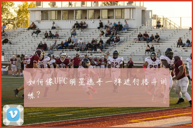 如何像UFC明星选手一样进行格斗训练？