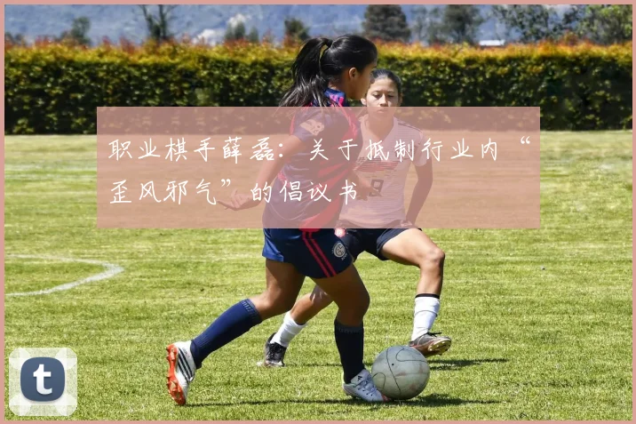 职业棋手薛磊：关于抵制行业内“歪风邪气”的倡议书