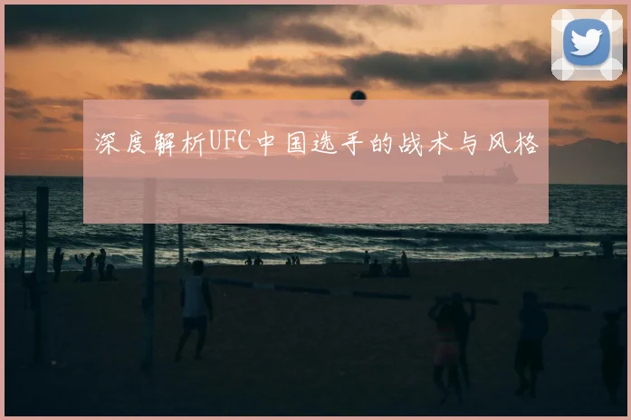 深度解析UFC中国选手的战术与风格