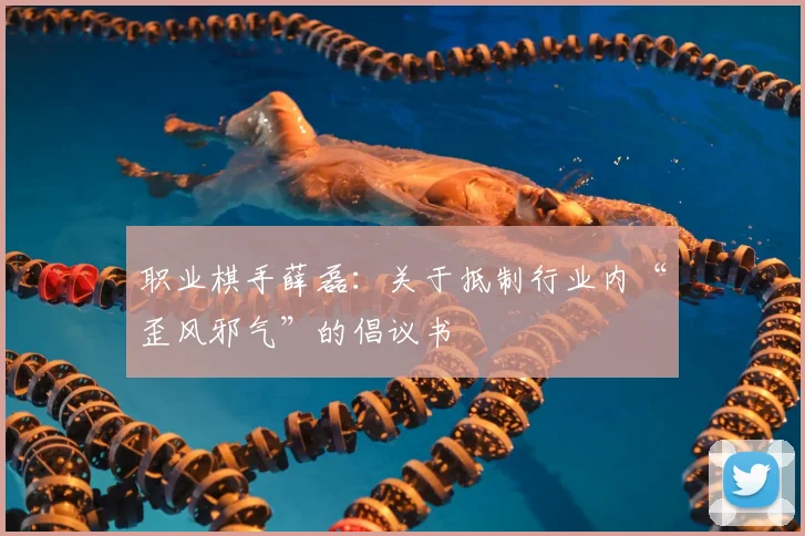职业棋手薛磊：关于抵制行业内“歪风邪气”的倡议书