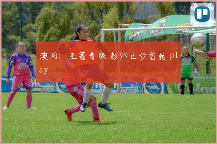 澳网：王蔷晋级 彭帅止步首轮 play
