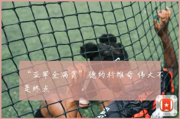 “亚军全满贯”德约科维奇 伟大不是终点