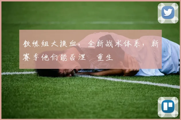 教练组大换血，全新战术体系，新赛季他们能否涅槃重生