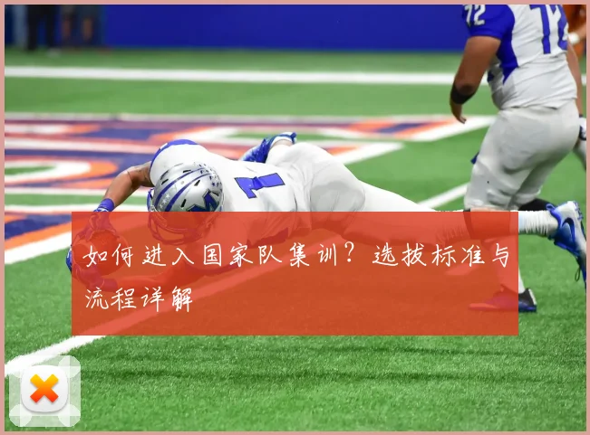 如何进入国家队集训？选拔标准与流程详解